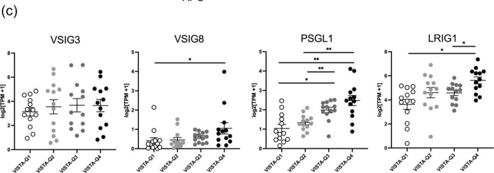 Detection of VSIG3 by Flow Cytometry