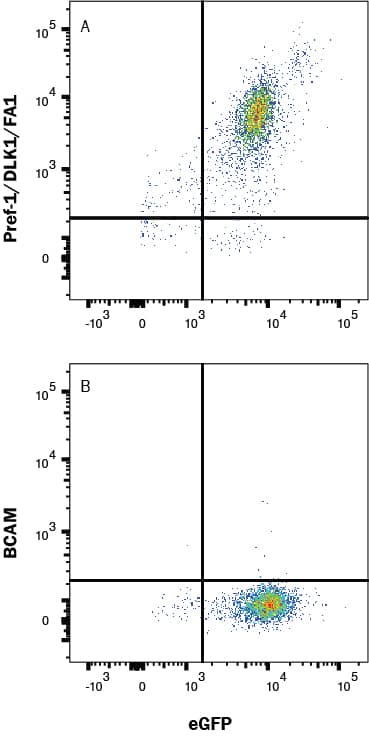 Human Pref-1/DLK1/FA1 Antibody