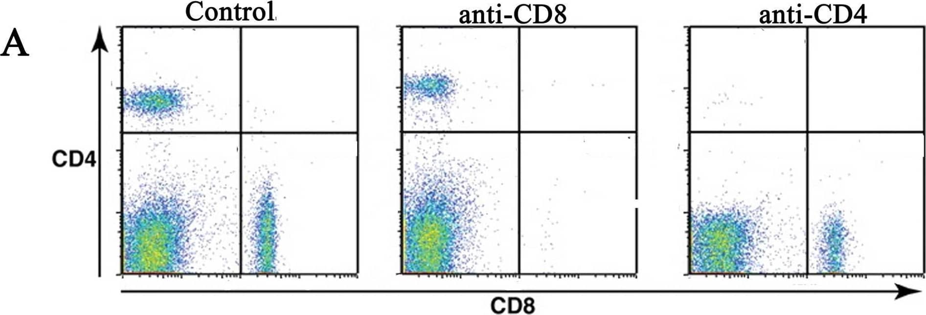 Detection of CD8 alpha by Flow Cytometry