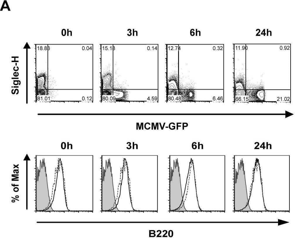 Detection of B220/CD45R by Flow Cytometry