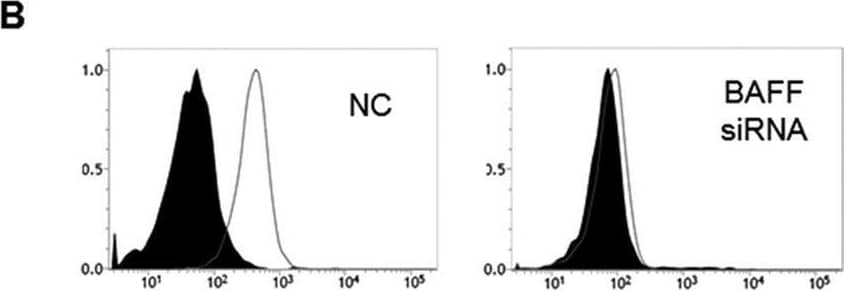 Detection of BAFF/BLyS/TNFSF13B by Flow Cytometry