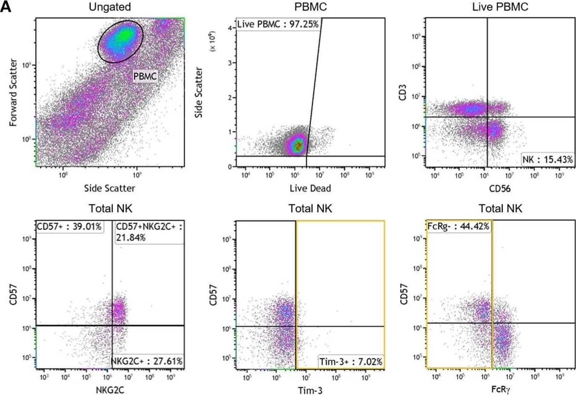 Detection of Human NKG2C/CD159c/KLRC2 by Flow Cytometry