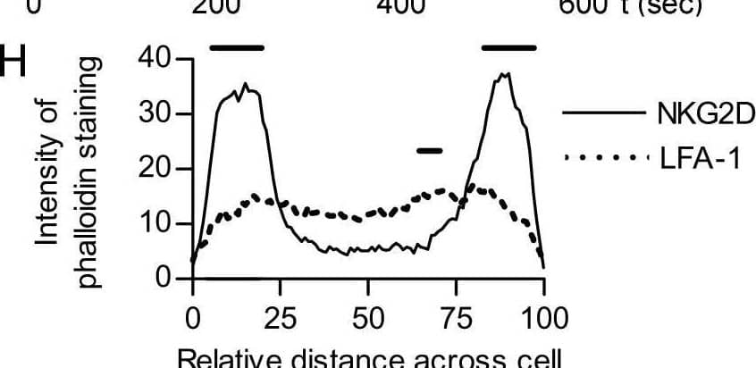 Detection of NKG2D/CD314 by Flow Cytometry
