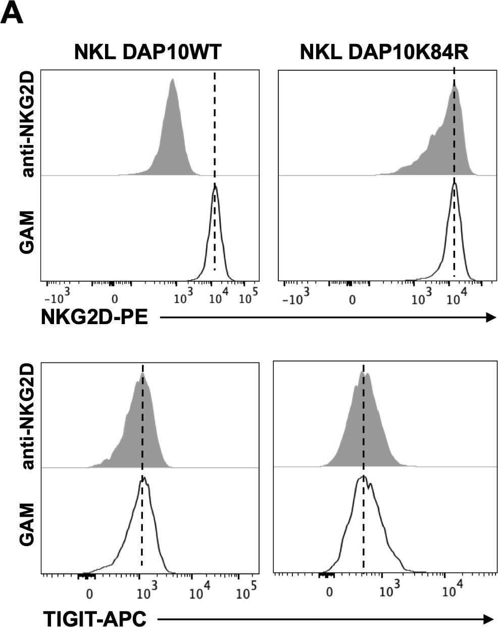 Detection of NKG2D/CD314 by Flow Cytometry