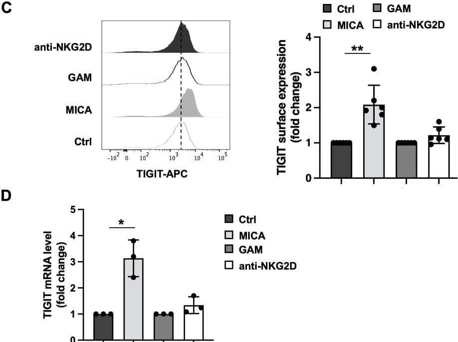 Detection of NKG2D/CD314 by Flow Cytometry