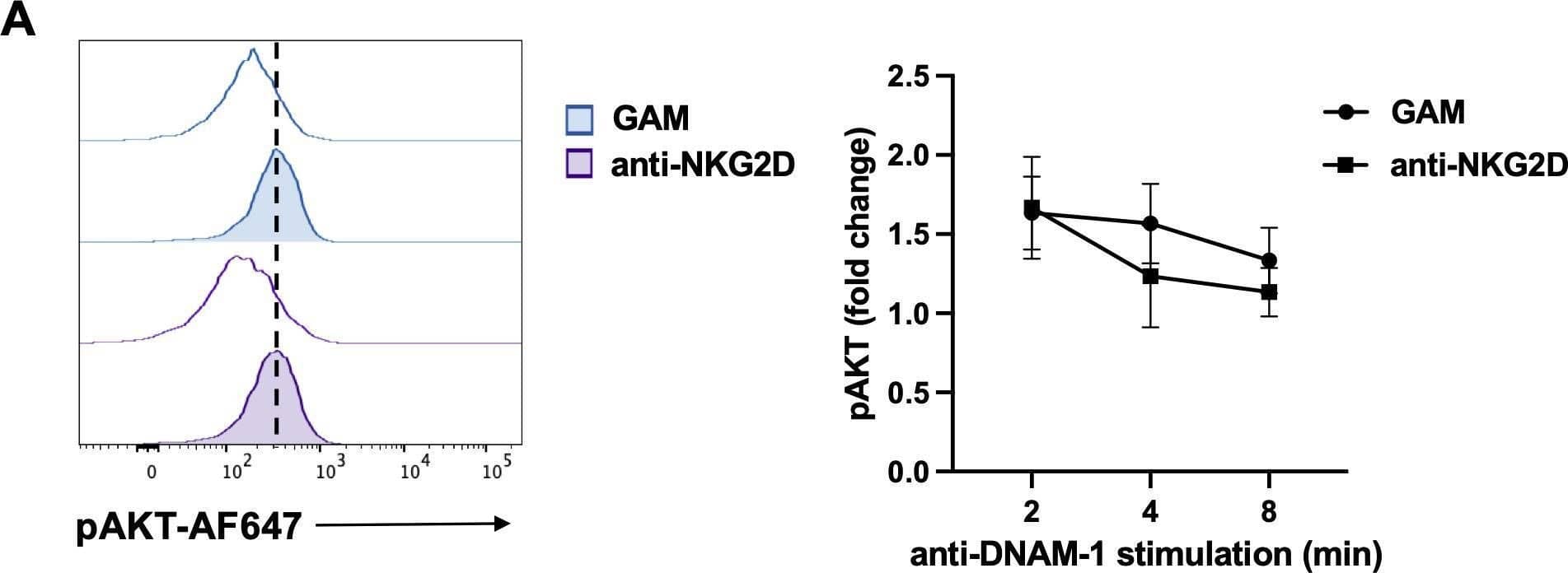 Detection of NKG2D/CD314 by Flow Cytometry