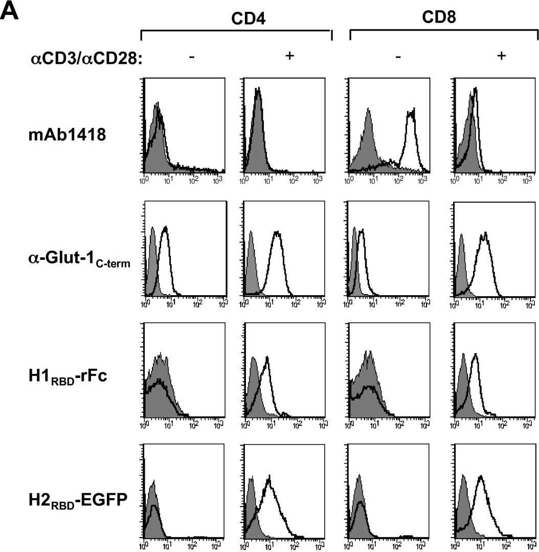 Detection of Human Glut1 by Flow Cytometry