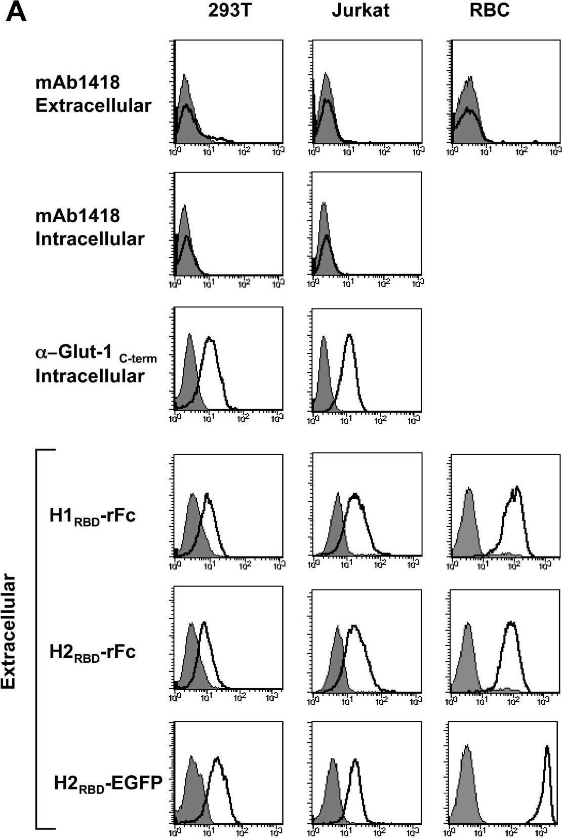 Detection of Human Glut1 by Flow Cytometry