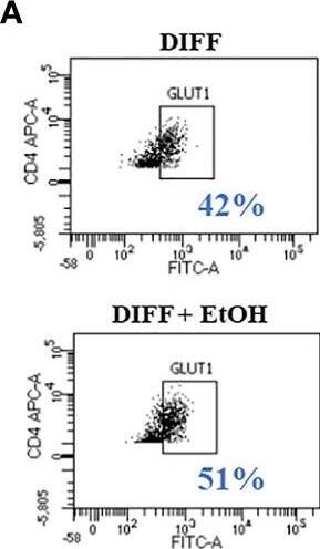 Detection of Human Glut1 by Flow Cytometry