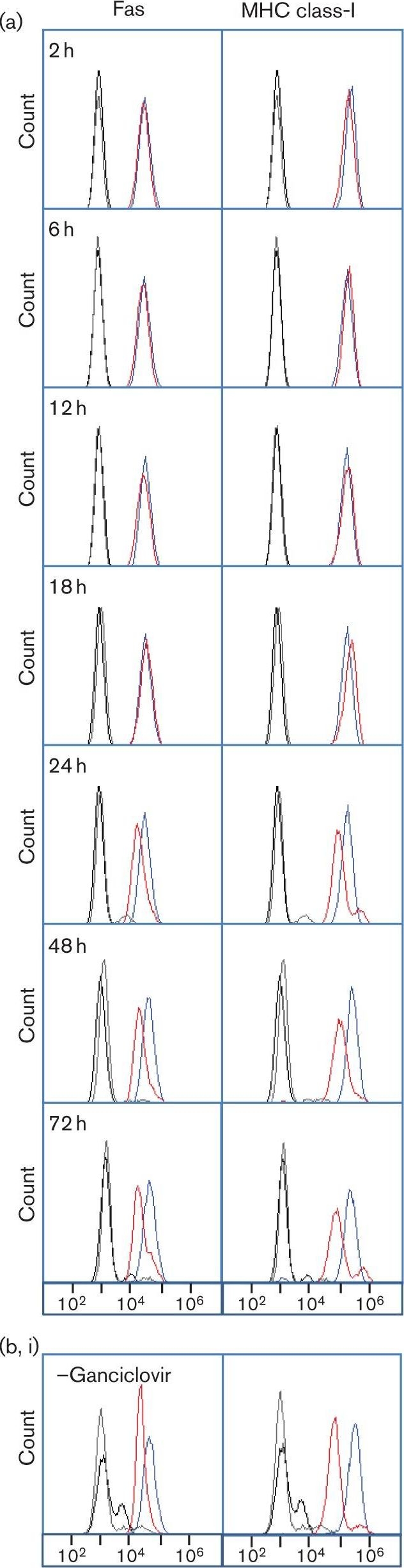 Detection of Fas/TNFRSF6/CD95 by Flow Cytometry