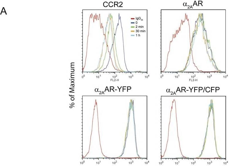 Detection of CCR2 by Flow Cytometry