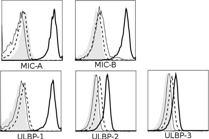 Detection of Human ULBP-3 by Flow Cytometry