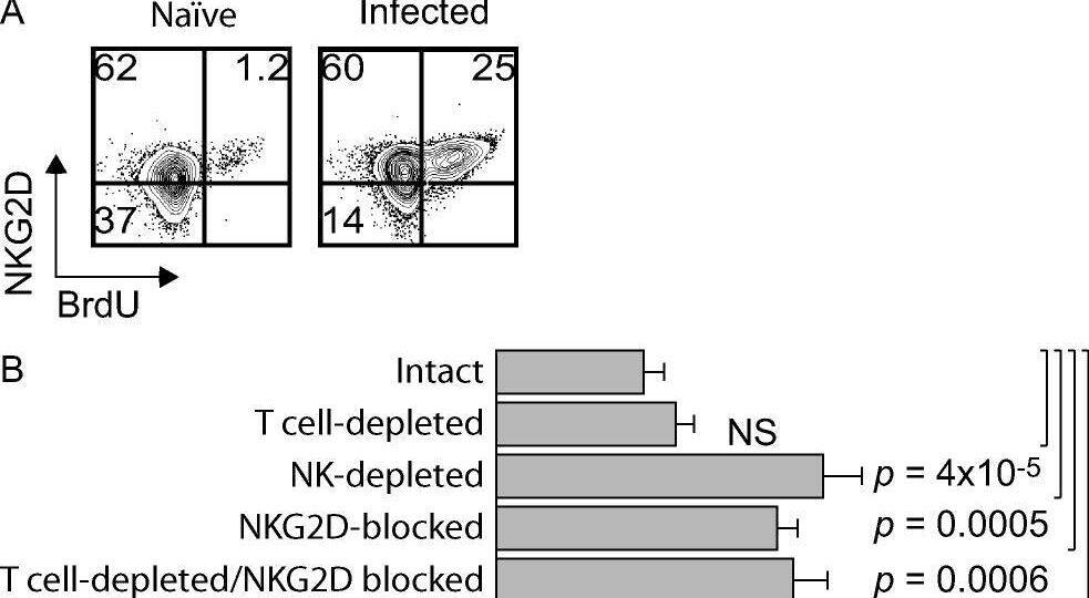 Detection of NKG2D/CD314 by Flow Cytometry