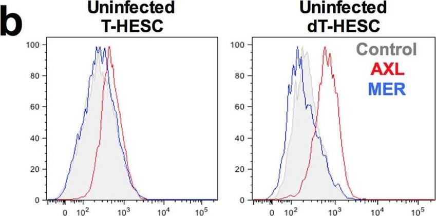 Detection of Human Human Axl Antibody by Flow Cytometry