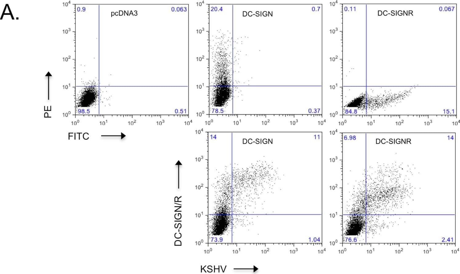 Detection of Human DC-SIGN/CD209 by Flow Cytometry Detection of Human DC-SIGN/CD209 by Flow Cytometry