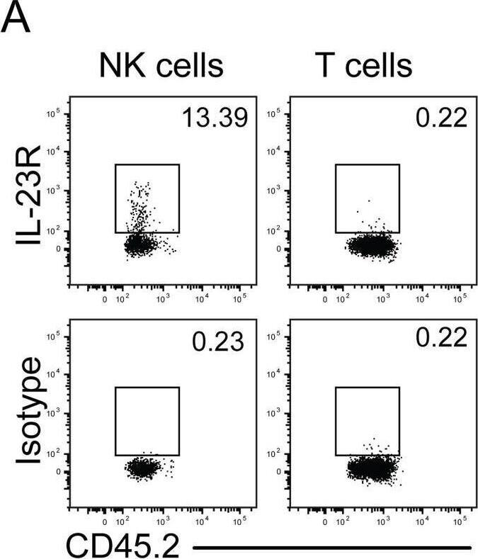 Detection of IL-23R by Flow Cytometry