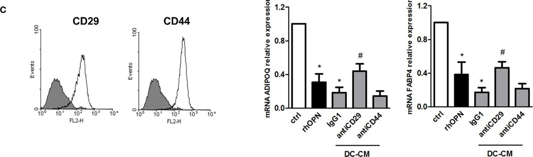 Detection of Integrin  beta1/CD29 by Flow Cytometry