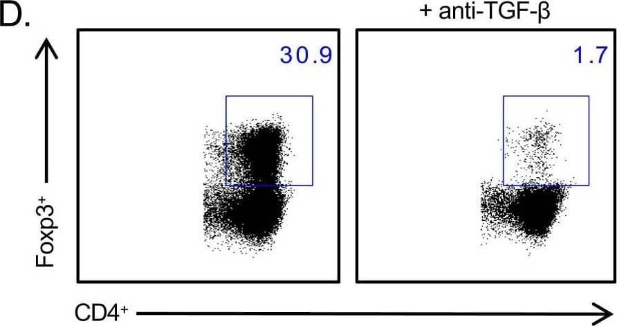 Detection of Mouse TGF-beta 1, 2, 3 Antibody by Flow Cytometry