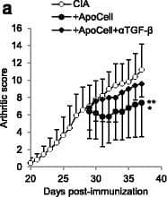 Detection of Mouse TGF beta 1/2/3 by In vivo assay