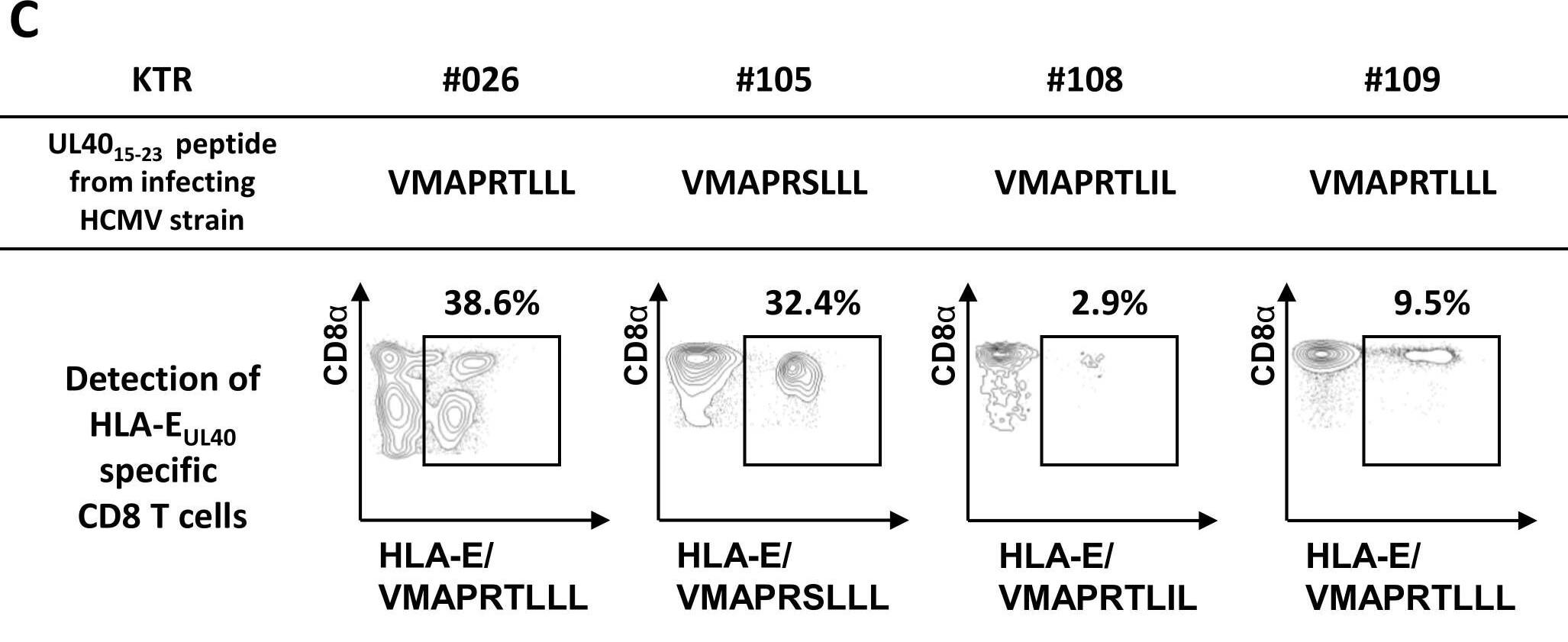 Detection of Human CCR7 by Flow Cytometry