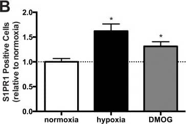 Detection of Human S1P1/EDG-1 by Flow Cytometry