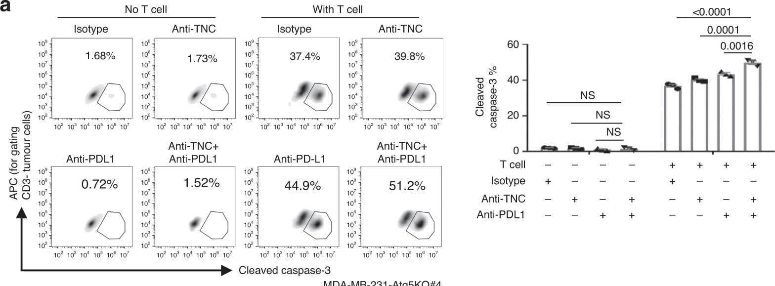 Detection of Tenascin C by Flow Cytometry