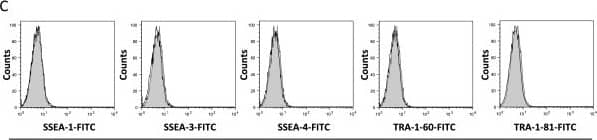 Detection of Canine SSEA-1 by Flow Cytometry