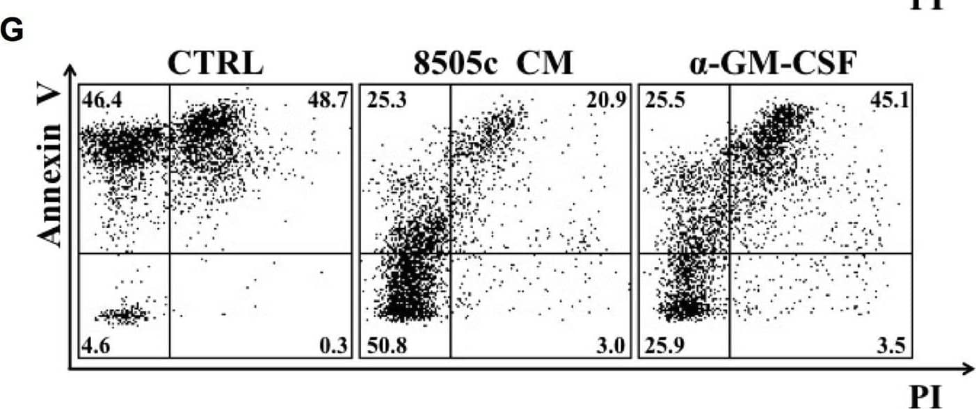 Detection of GM-CSF by Flow Cytometry