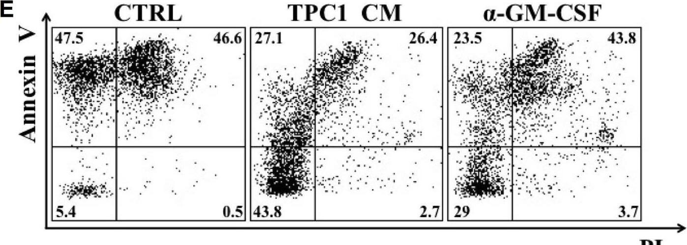 Detection of GM-CSF by Flow Cytometry