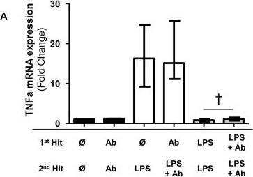 Detection of Human IL-10 by Block/Neutralize