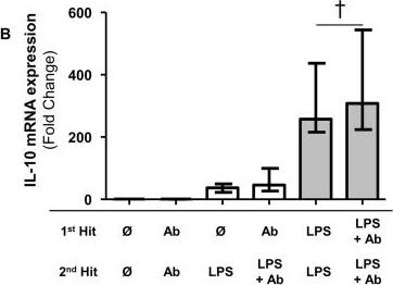 Detection of Human IL-10 by Block/Neutralize