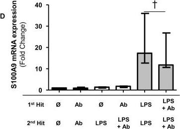 Detection of Human IL-10 by Block/Neutralize