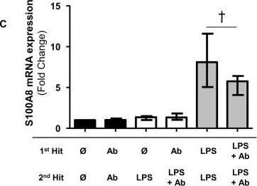 Detection of Human IL-10 by Block/Neutralize
