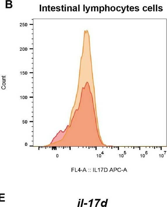 Detection of IL-17D by Flow Cytometry