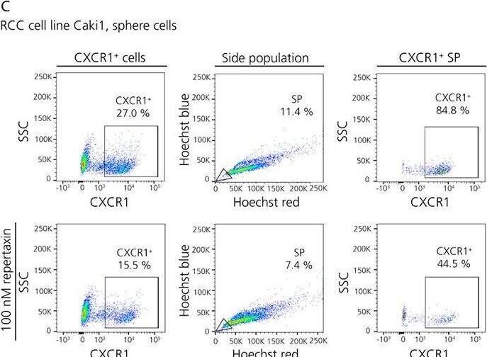 Detection of CXCR1/IL-8RA by Flow Cytometry