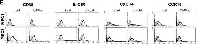 Detection of Human CCR10/GPR2 by Flow Cytometry