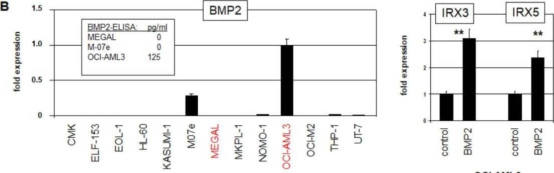Detection of Human BMP-2/BMP-4 by Flow Cytometry