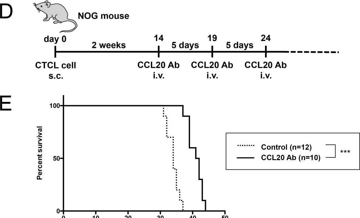 Detection of CCL20/MIP-3 alpha by Flow Cytometry