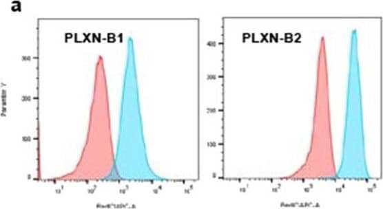 Detection of Plexin B1 by Flow Cytometry