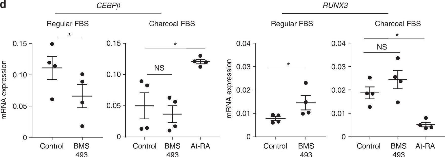 Detection of RUNX3/CBFA3 by Flow Cytometry