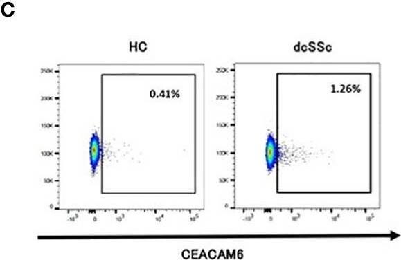 Detection of CEACAM-6/CD66c by Flow Cytometry
