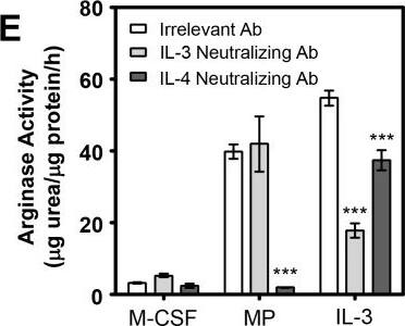 Detection of Mouse IL-3 by Block/Neutralize