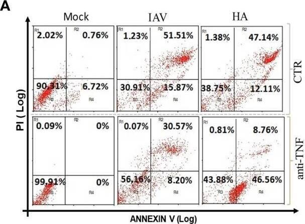 Detection of Mouse TNF-alpha by Flow Cytometry