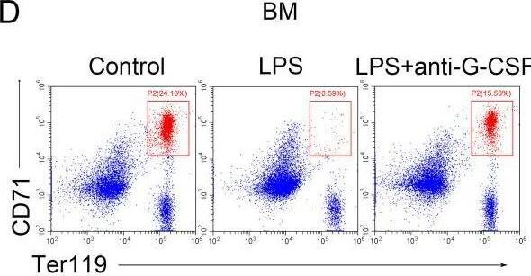 Detection of G-CSF by Flow Cytometry