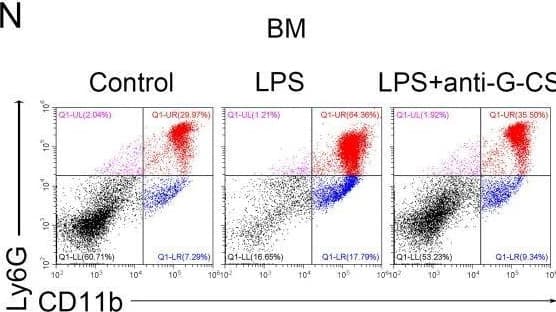 Detection of G-CSF by Flow Cytometry