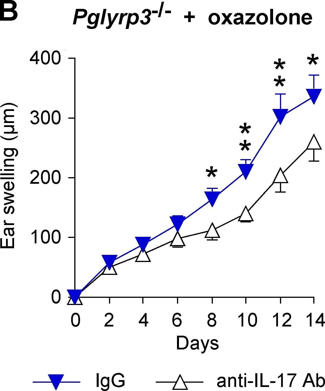 Detection of Mouse IL-17/IL-17A by In vivo assay