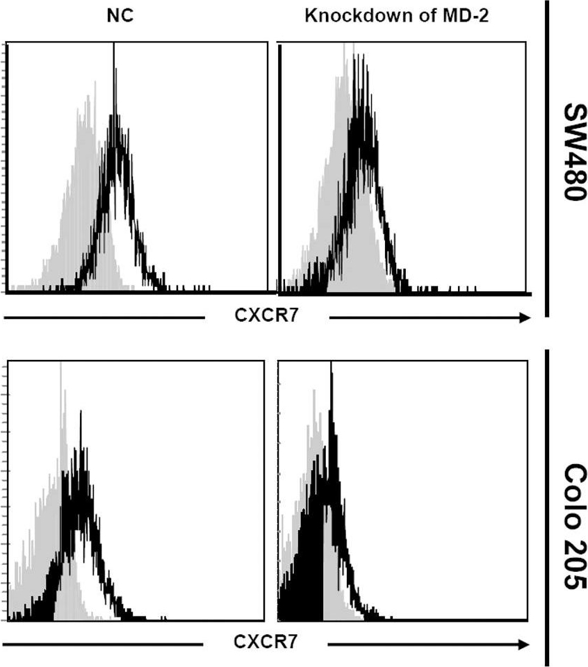 Detection of Human CXCR7/RDC-1 by Flow Cytometry
