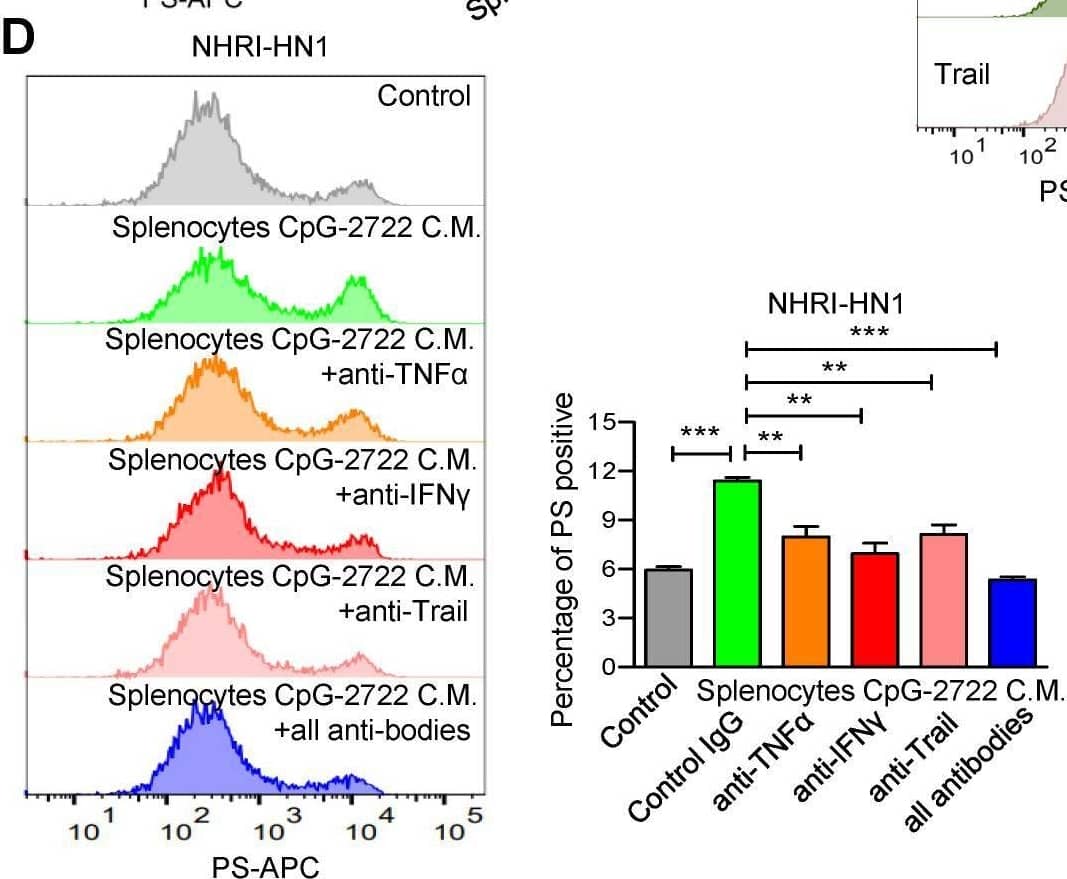 Detection of Mouse IFN-gamma by Flow Cytometry
