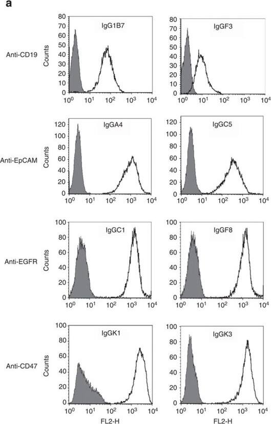 Detection of Human CD19 by Flow Cytometry Detection of Human CD19 by Flow Cytometry