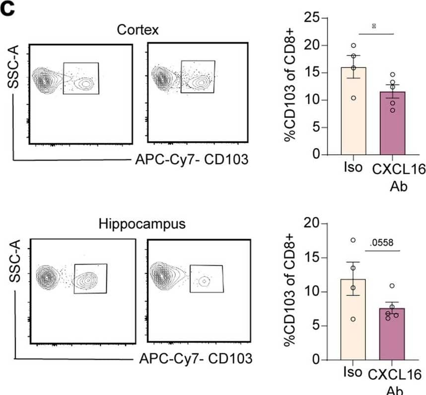 Detection of Mouse CXCL16 by Flow Cytometry